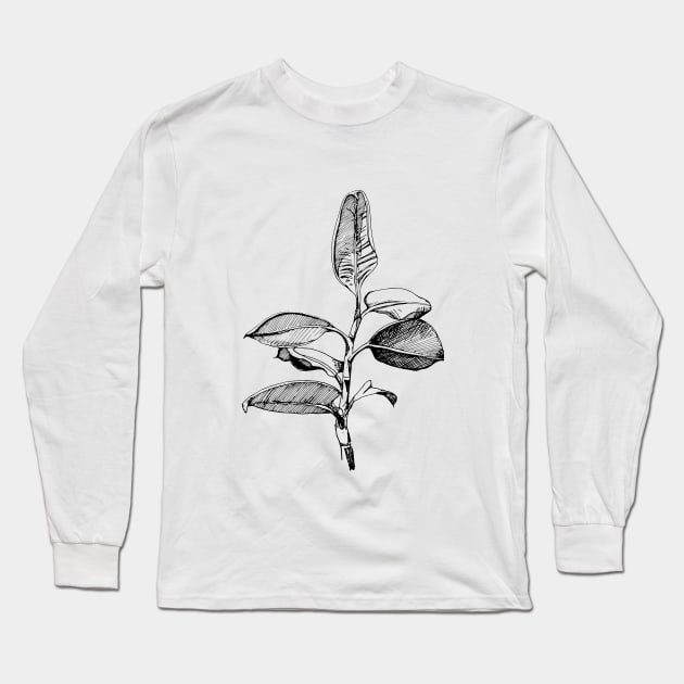 Ficus. Author's drawing. Modern Art. Long Sleeve T-Shirt by ElizabethArt